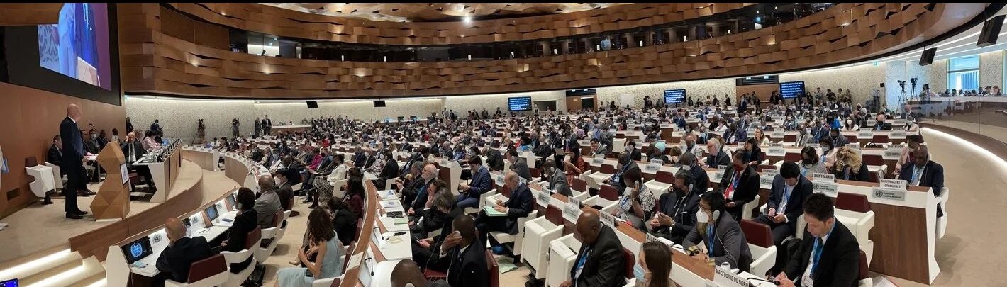 World Health Assembly 78th session