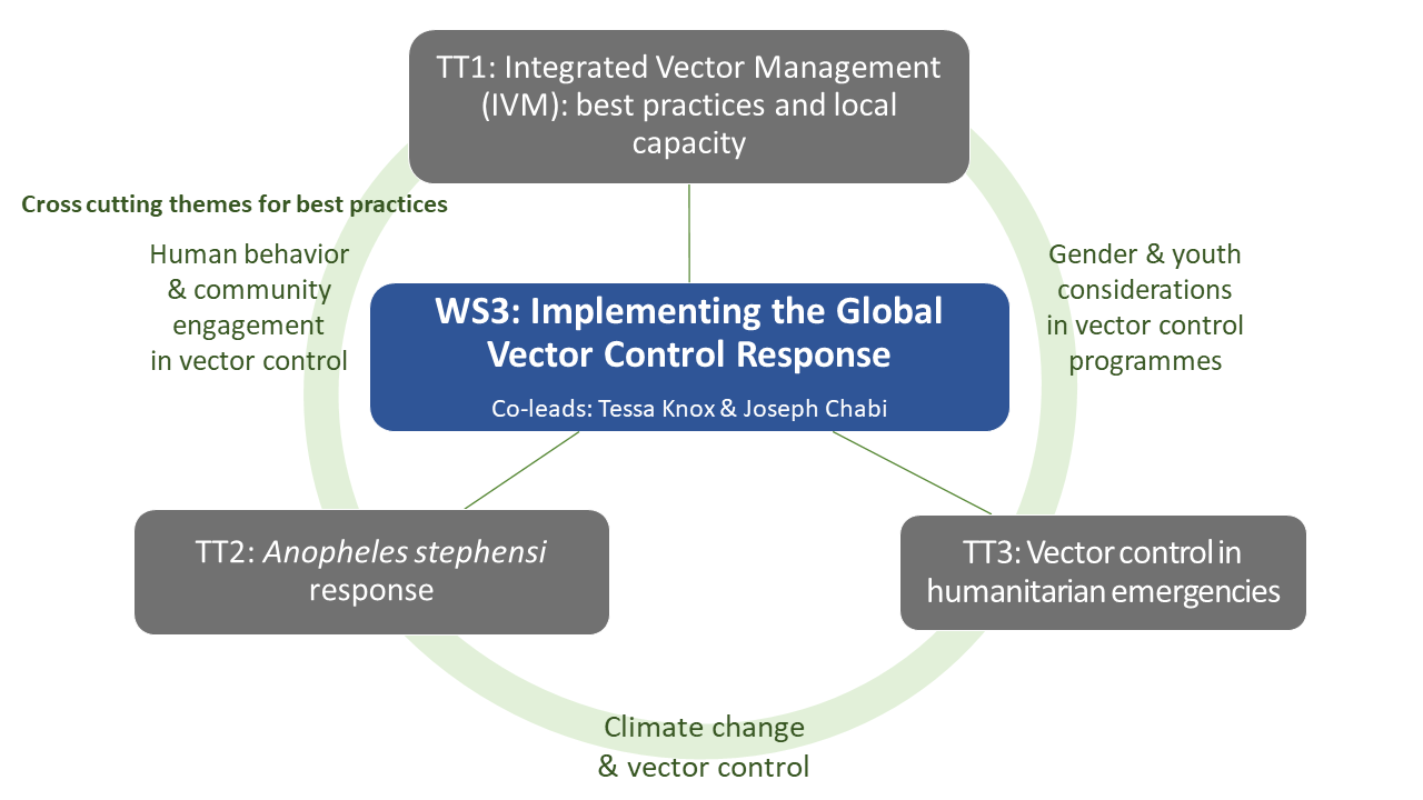 VCWG WS3 structure Oct2024