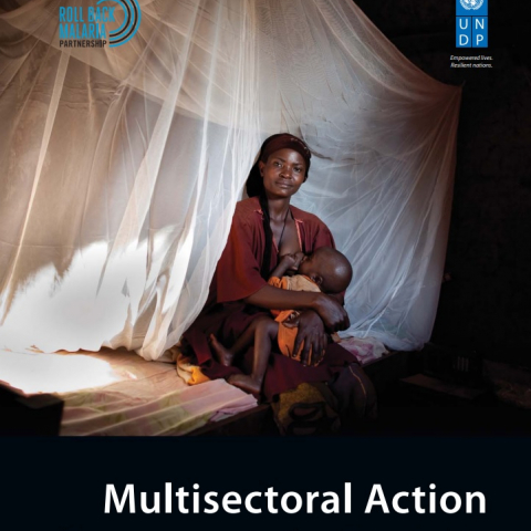 Multisectorial Action Framework (2015)