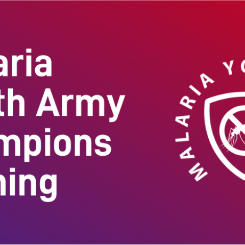 Enrol for Malaria Youth Army champions training