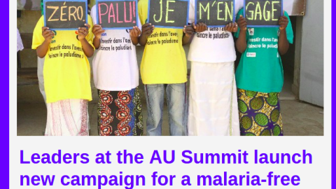 New campaign launched for a malaria-free Africa