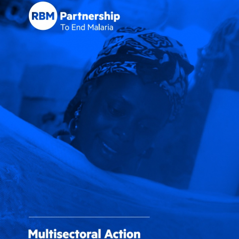 Multisectorial Action Guide to End Malaria